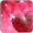 Imagem de Coração Pink Diamond Amor